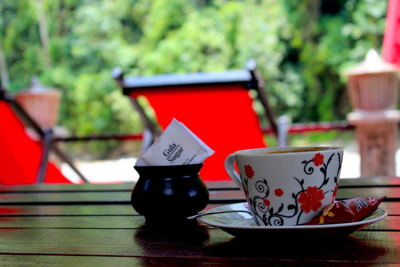 Ecotravel Cottages Bukit Lawang Exteriér fotografie