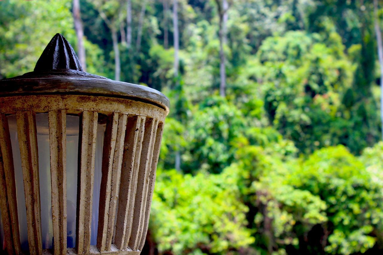 Ecotravel Cottages Bukit Lawang Exteriér fotografie