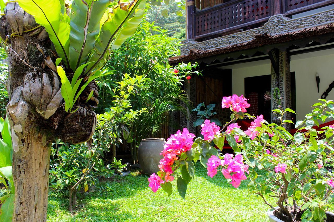 Ecotravel Cottages Bukit Lawang Exteriér fotografie