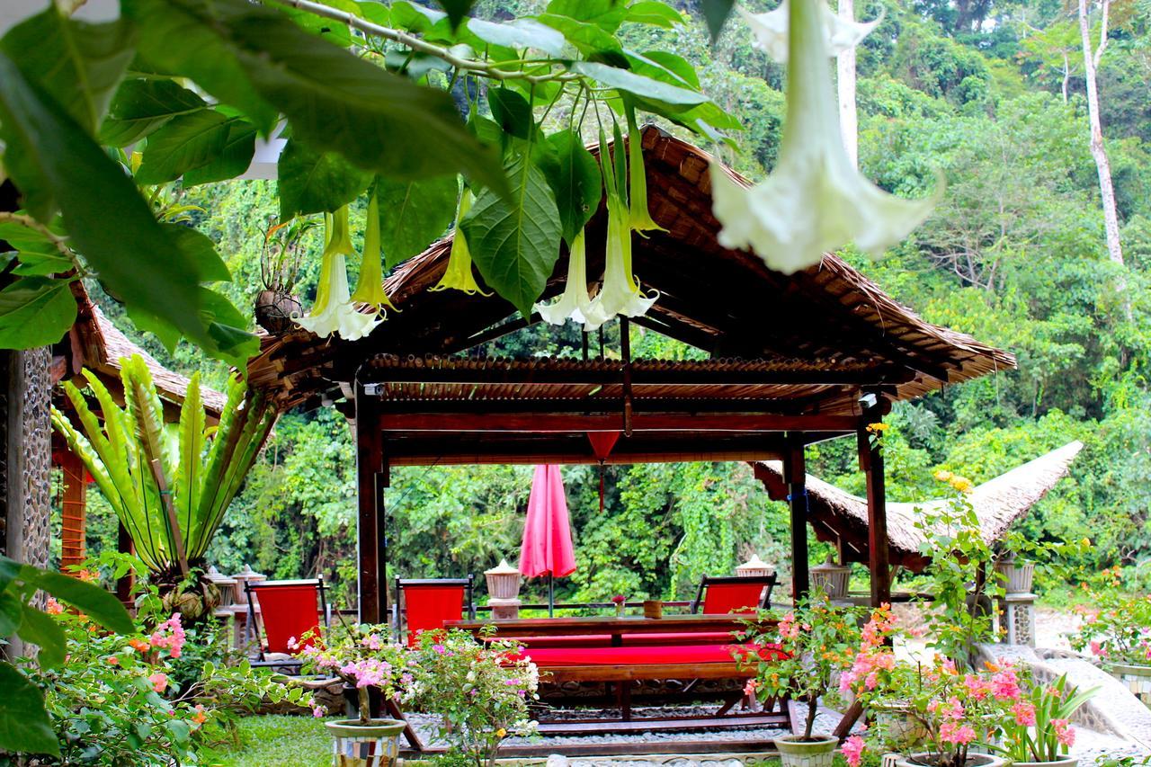 Ecotravel Cottages Bukit Lawang Exteriér fotografie