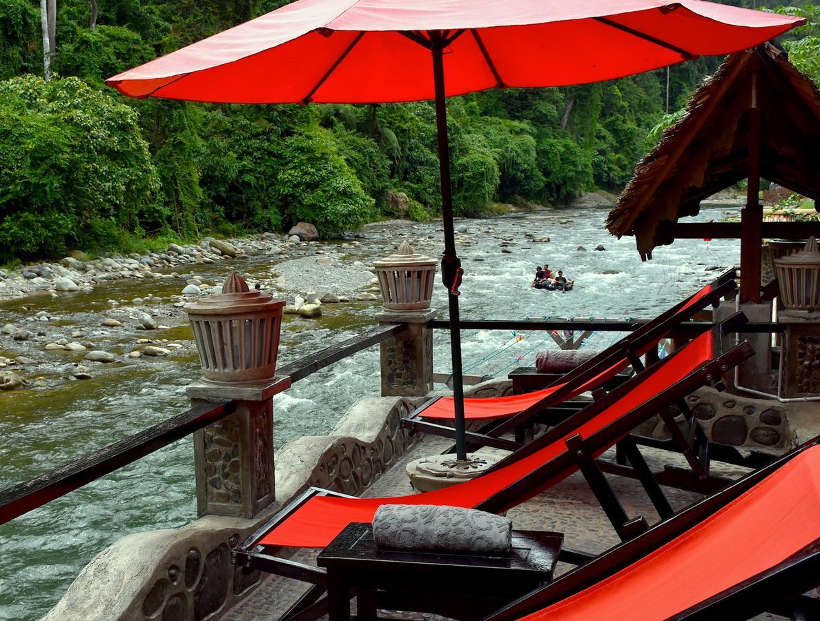 Ecotravel Cottages Bukit Lawang Exteriér fotografie