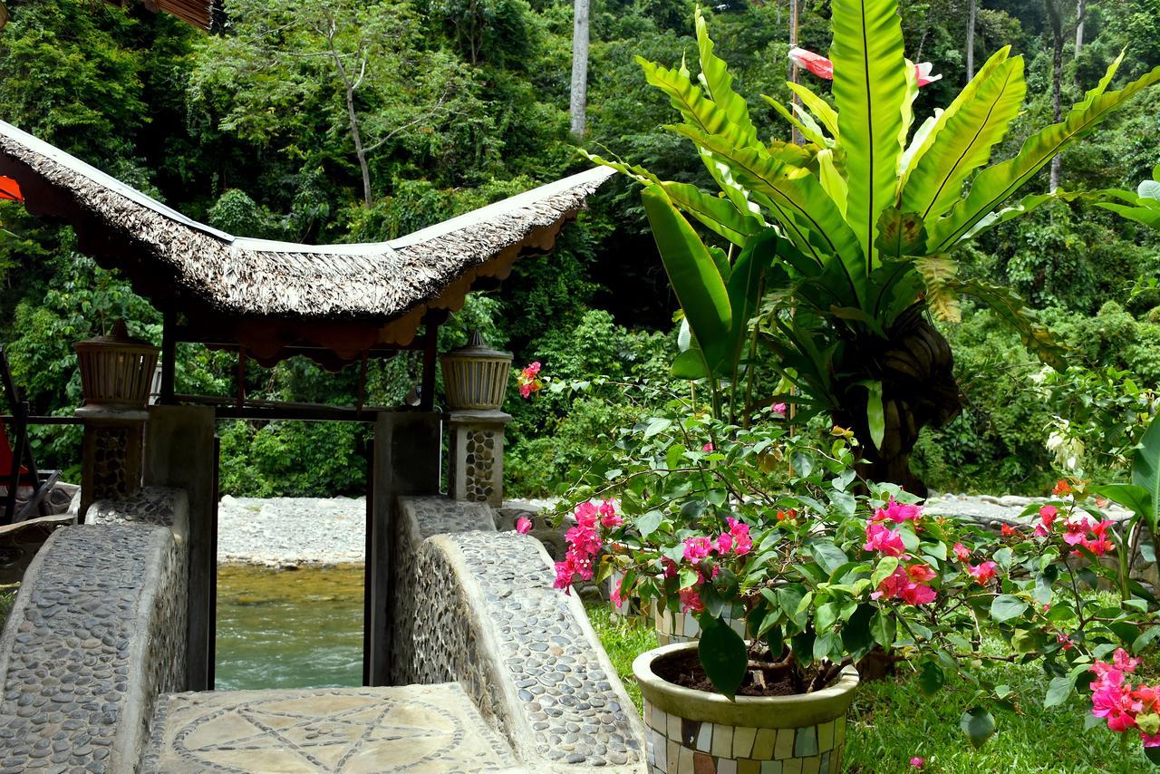 Ecotravel Cottages Bukit Lawang Exteriér fotografie