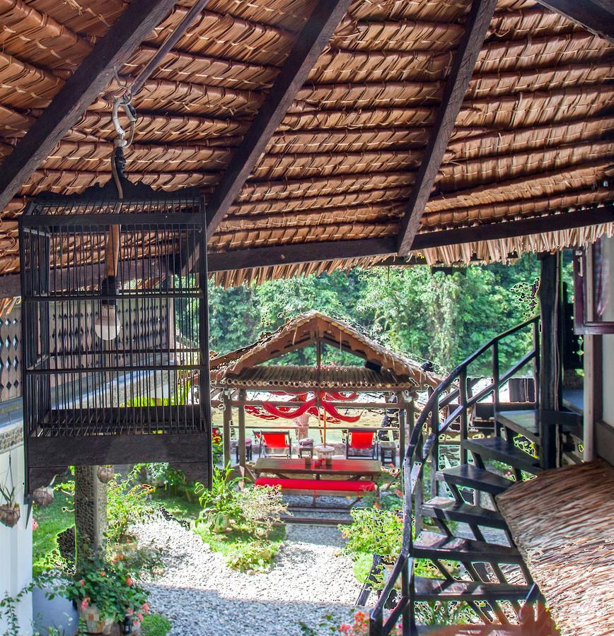 Ecotravel Cottages Bukit Lawang Exteriér fotografie